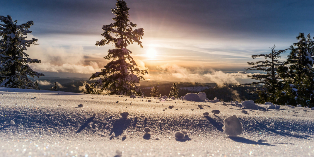 Winter Blast image